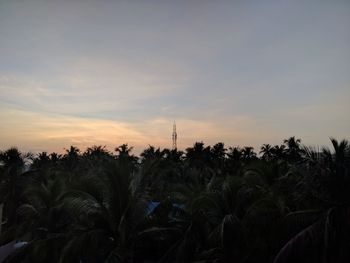 Silhouette plants and trees against sky during sunset