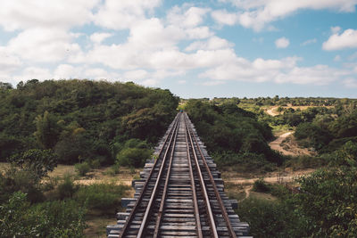 Railroad tracks amidst trees against sky