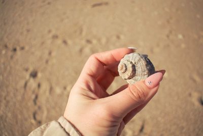 Close-up of hand holding seashell on sand