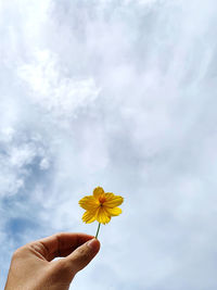 Cropped hand holding yellow flowering plant against cloudy sky