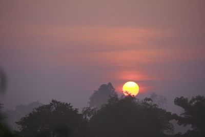 Low angle view of silhouette trees against orange sky