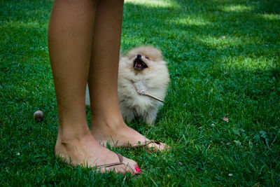 Low section of woman on grass