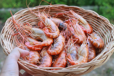 Close-up of shrimp in basket