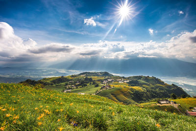 Scenic view of field against bright sun