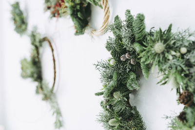 Close-up of wreath