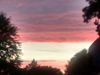 Low angle view of trees against cloudy sky