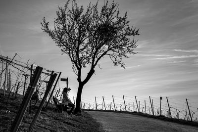 Fence against sky