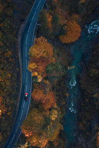 High angle view of road amidst trees during autumn