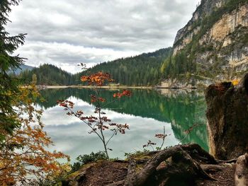 Reflection of trees in lake against sky