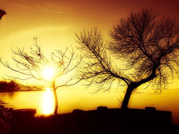 Silhouette tree against sky during sunset