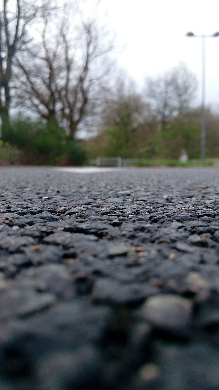 SURFACE LEVEL OF ROAD BY TREES