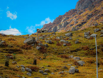 Scenic view of landscape against sky during autumn