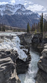 scenics - nature
