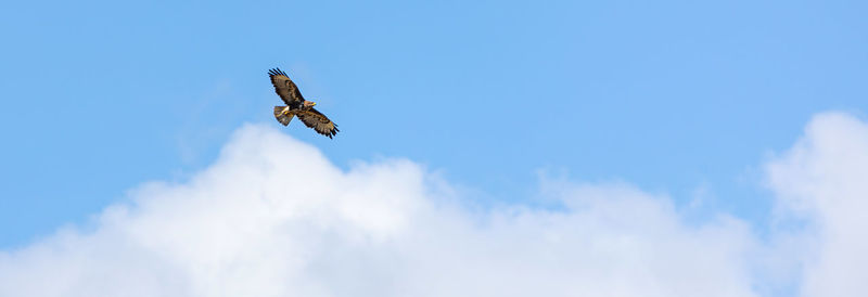 sky