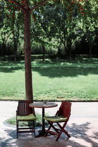 Empty bench in park