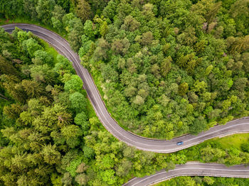 High angle view of road amidst trees in forest