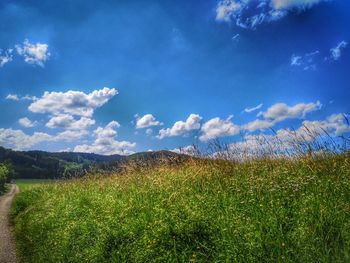 Scenic view of field against sky