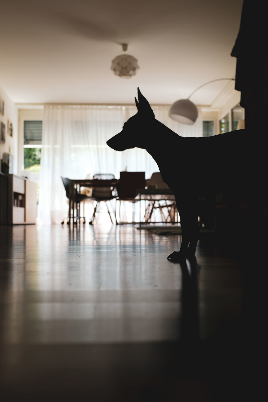 SILHOUETTE MAN AND WOMAN SITTING ON CHAIR AT HOME