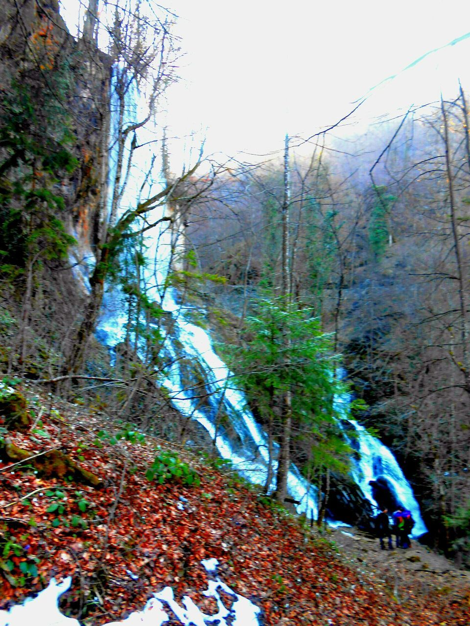 tree, mountain, rock - object, beauty in nature, nature, scenics, forest, tranquility, waterfall, tranquil scene, stream, the way forward, flowing, men, lifestyles, non-urban scene, leisure activity, flowing water