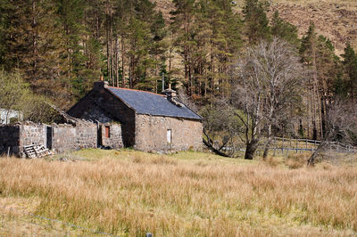 Abandoned house on field by trees