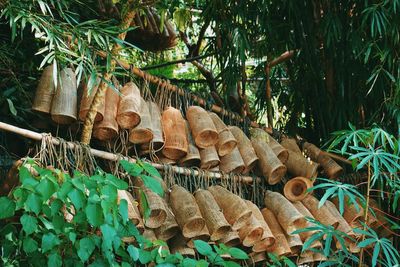 Close-up of logs in forest