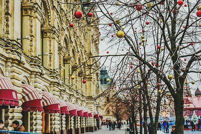 Christmas tree in city