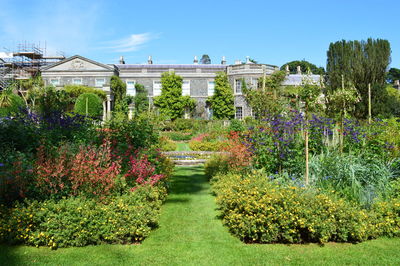 High angle view of formal garden