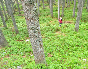 Full length of man on tree trunk in forest