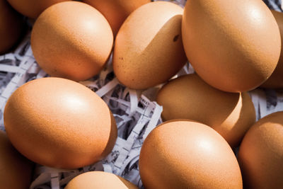 High angle view of eggs in container