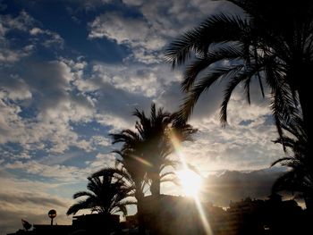 Low angle view of silhouette palm trees against sky