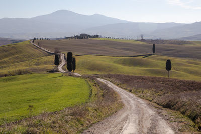 Road amidst field against sky