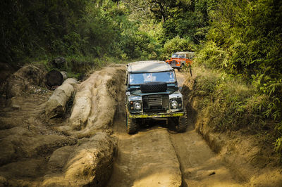 Car on road amidst trees