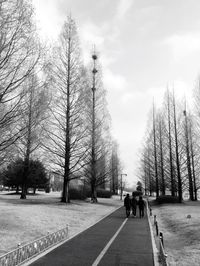 People walking on road amidst bare trees against sky