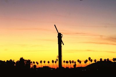 Silhouette of trees at sunset