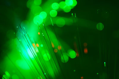 Close-up of water drops on leaf at night