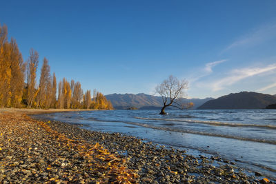 Scenic view of beach against sky during winter