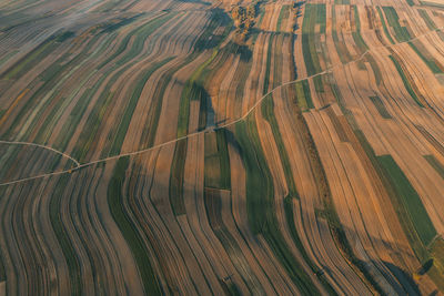 Full frame shot of agricultural field