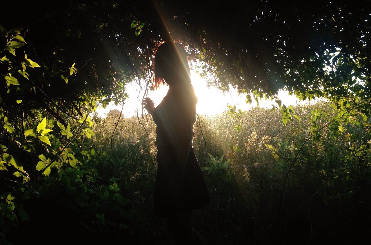 lifestyles, tree, leisure activity, standing, silhouette, sunlight, sun, growth, forest, tranquility, nature, grass, person, full length, plant, men, field, sunbeam