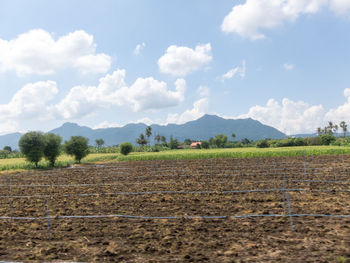 Scenic view of field against sky