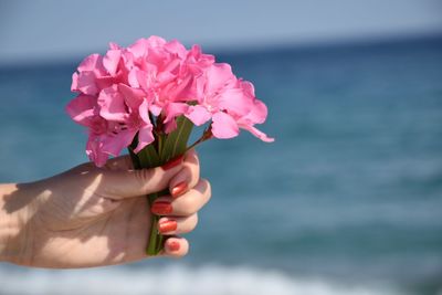 Close-up of hand holding pink rose against sea