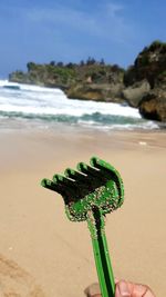 Person holding leaf at beach against sky