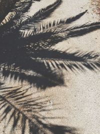 High angle view of shadow on sand at beach