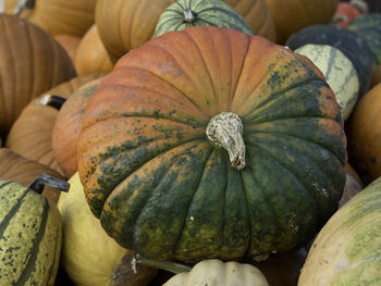 Pumpkins in germany