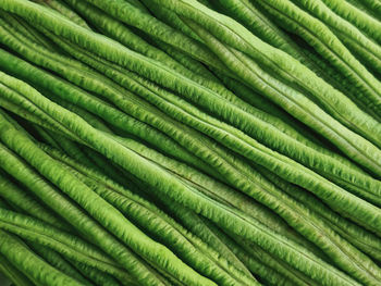 Full frame background of fresh green yardlong beans