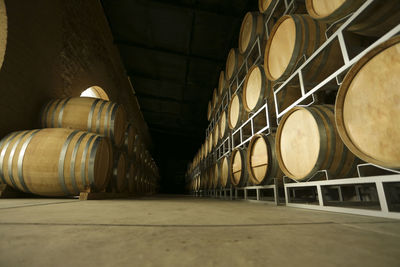 Cellar with wooden barrels to store wine, beer, rum, whiskey