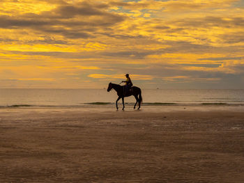 Horse riding horses on beach against sky during sunset