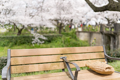 Wooden bench and table in park