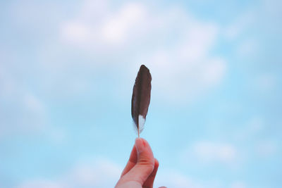 Close-up of hand holding feather against sky