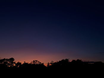 Silhouette trees against clear sky at sunset