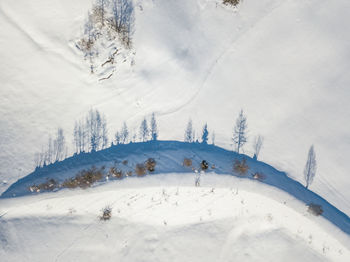 Scenic view of snow covered field